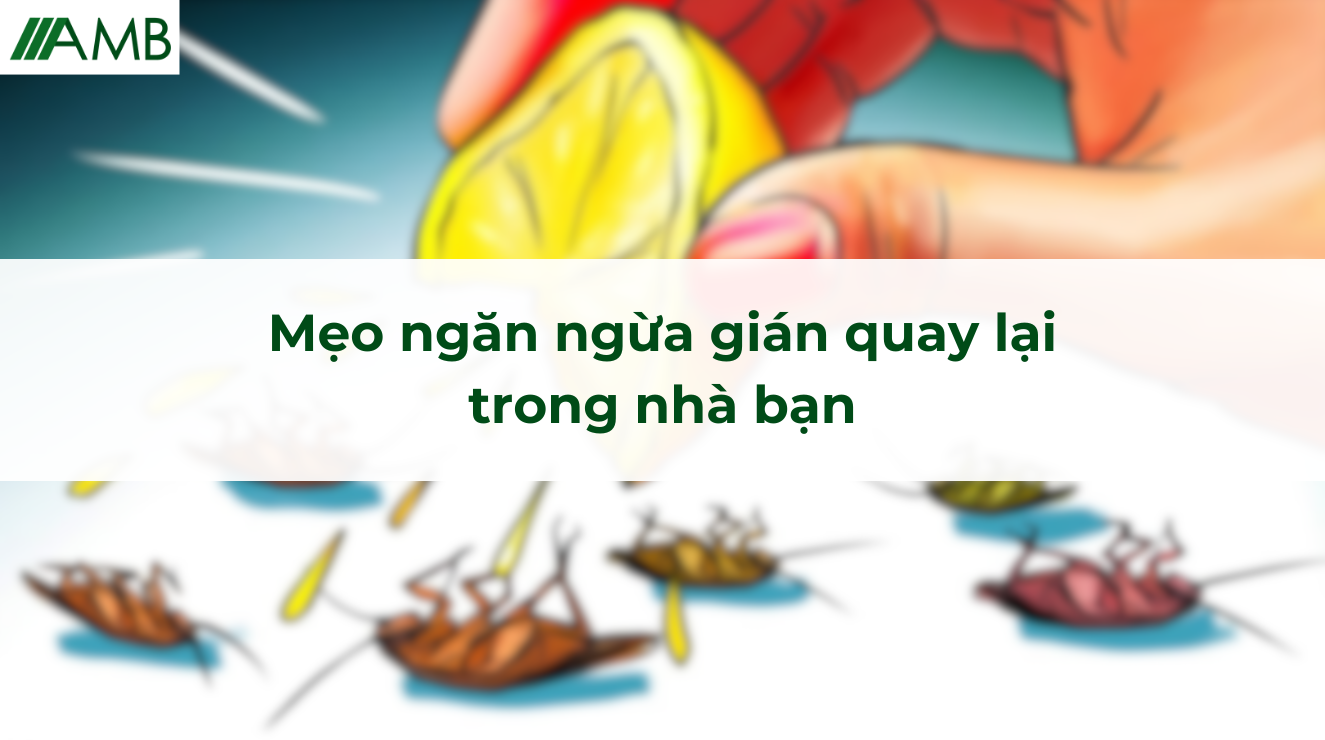 Mẹo ngăn ngừa gián quay lại trong nhà bạn