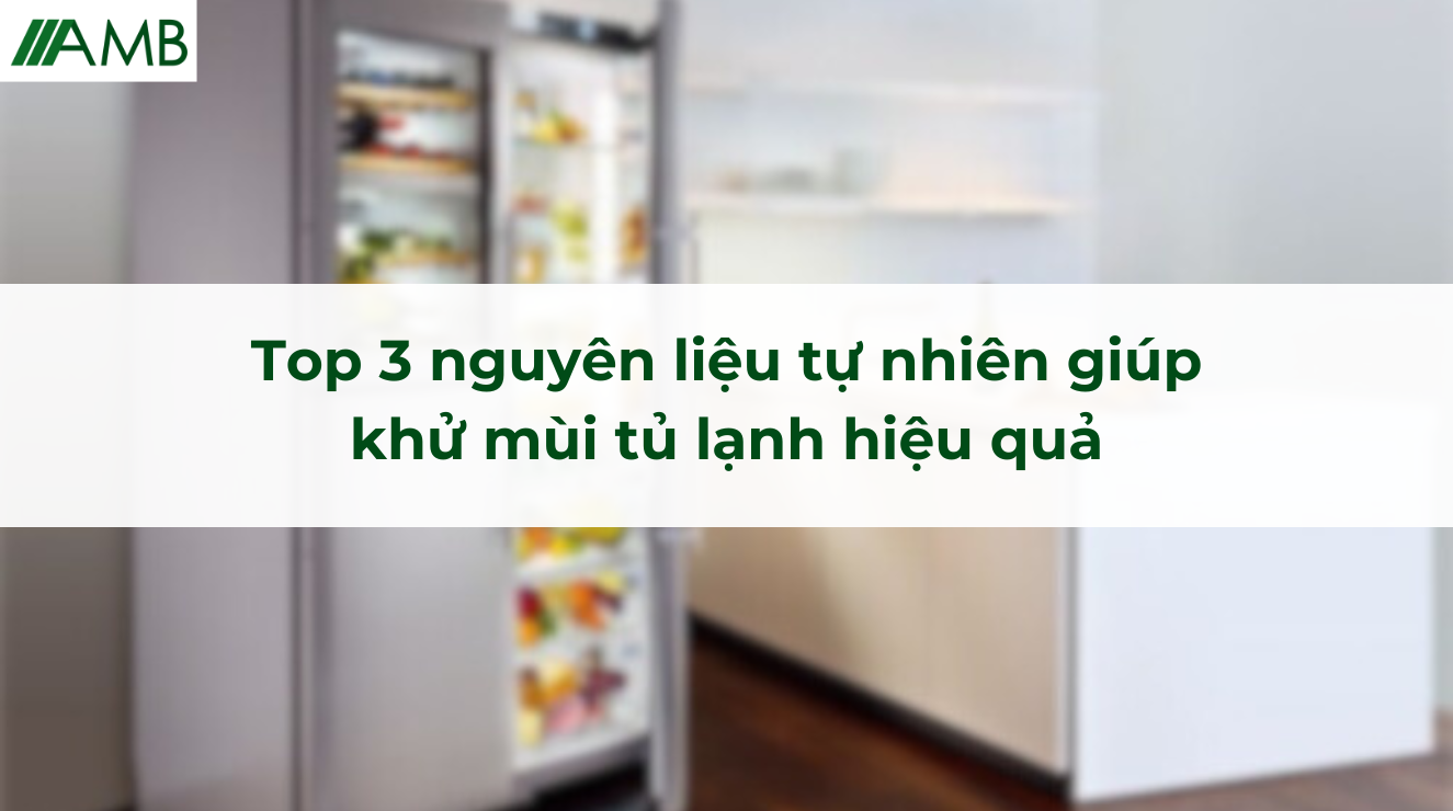 Top 3 nguyên liệu tự nhiên giúp khử mùi tủ lạnh hiệu quả