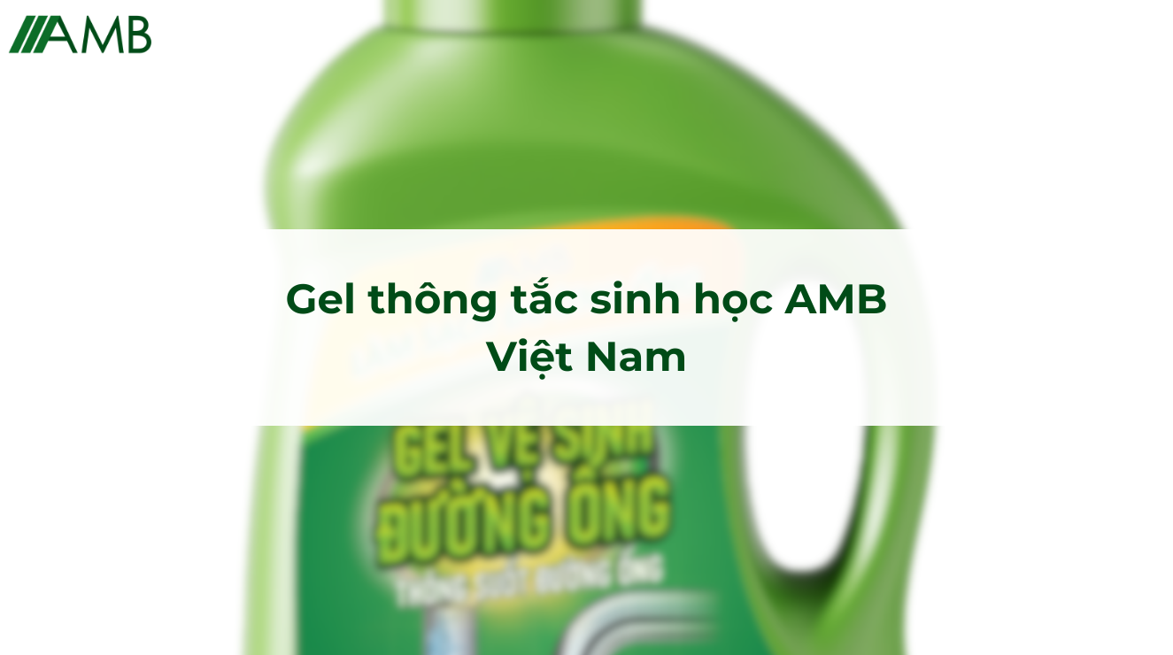 Gel thông tắc sinh học AMB Việt Nam