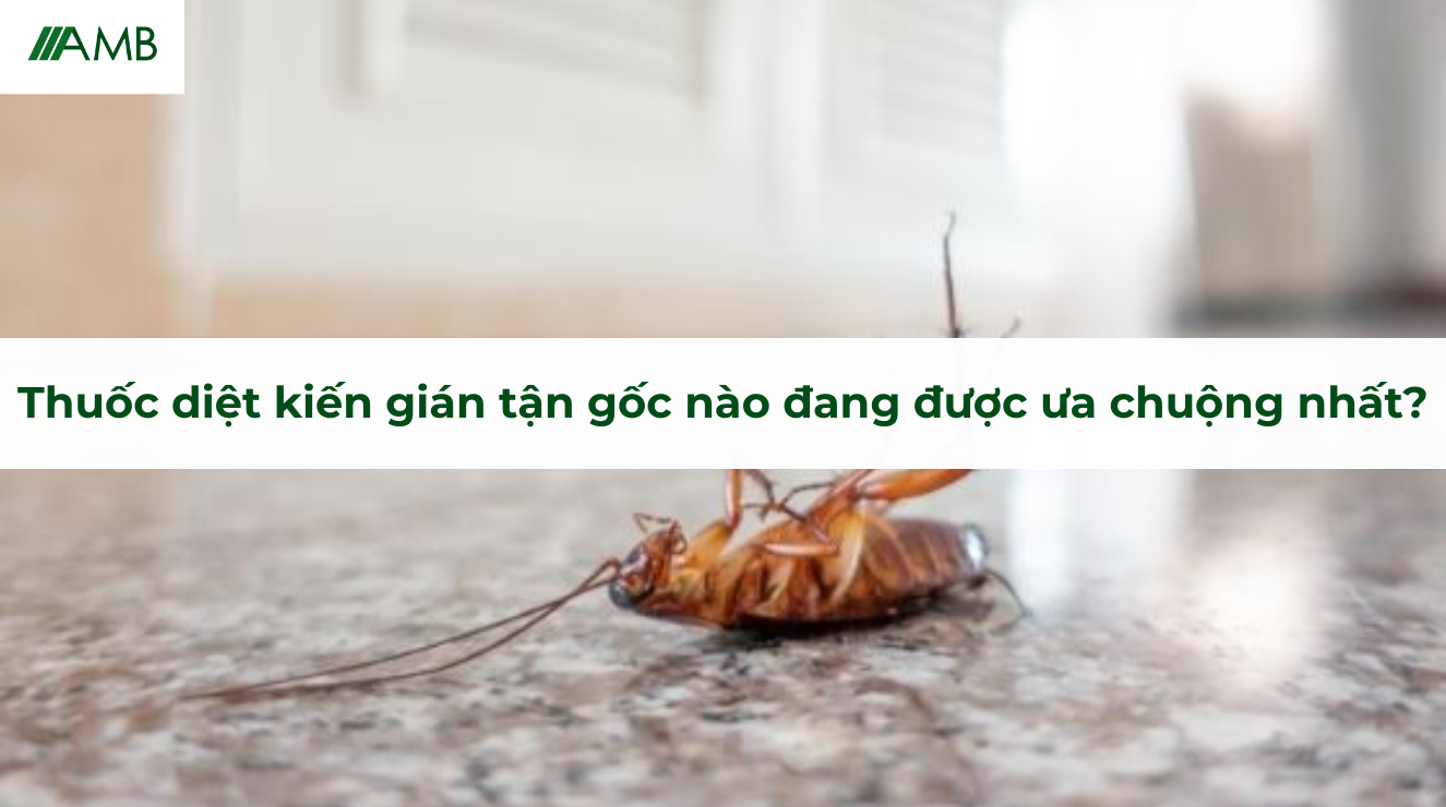 Thuốc diệt kiến gián tận gốc nào đang được ưa chuộng nhất?